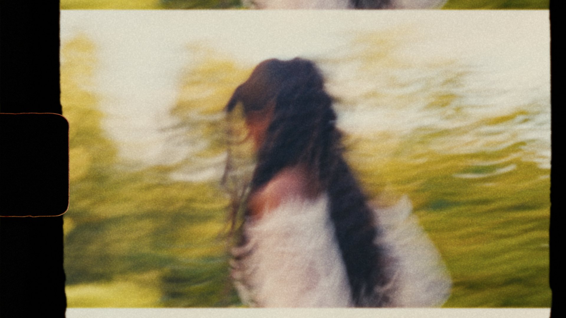 A bride turning in the garden, on Super 8 film
